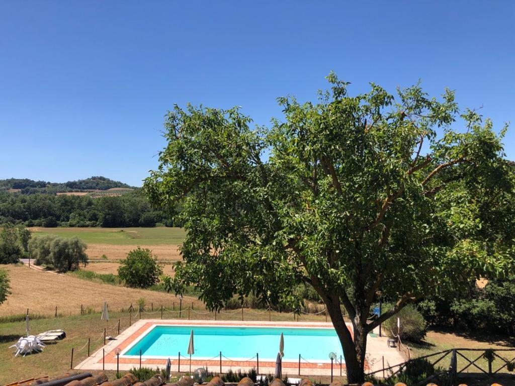 Agriturismo Podere Valdilucciole Читта-делла-Пьеве Экстерьер фото